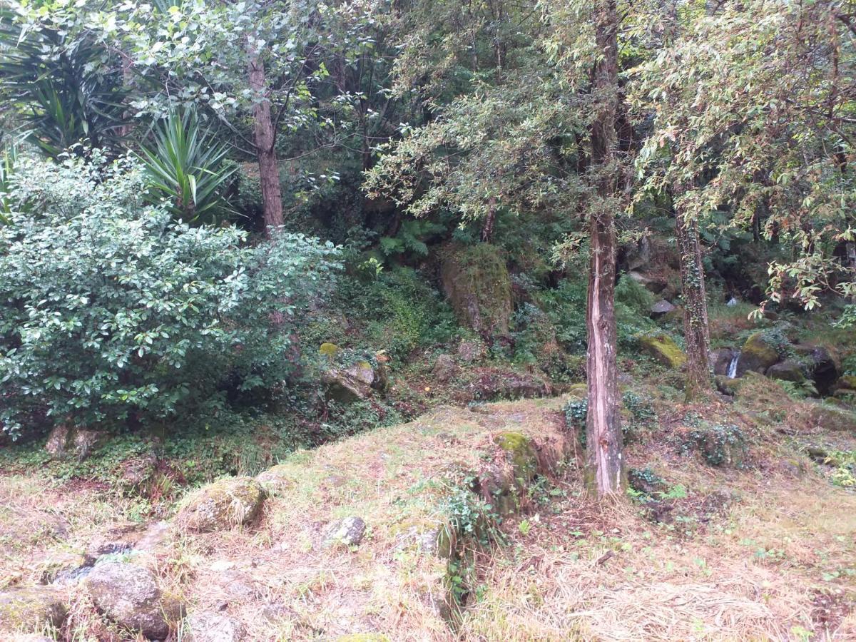 Casa Abrigo Do Lagar Villa Amares Dış mekan fotoğraf